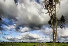 2024全国女排冠军赛最新战况如何？各队表现有哪些亮点？